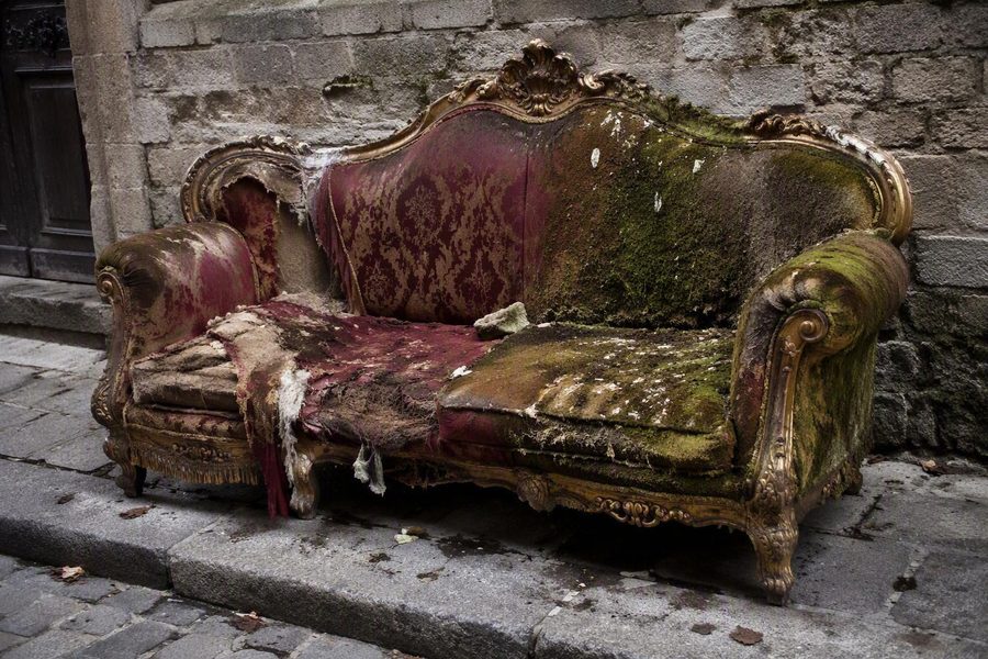 The Duchess — moss-covered gilded chesterfield