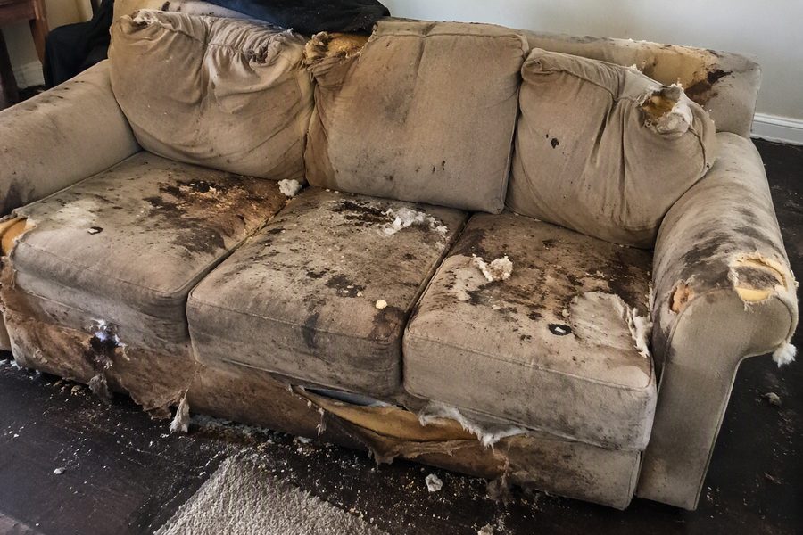 The Silent Auction — worn couch with torn upholstery and exposed stuffing
